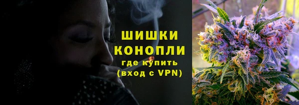 ECSTASY Богданович