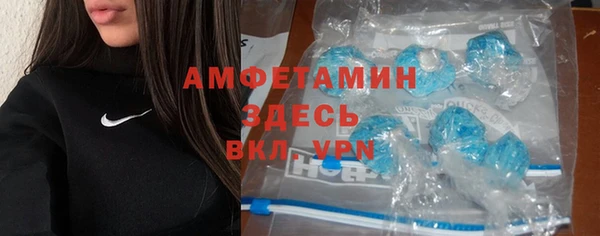 ECSTASY Богданович