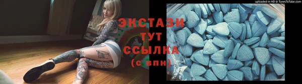 ECSTASY Богданович