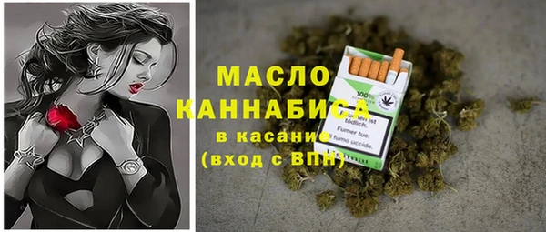 ECSTASY Богданович
