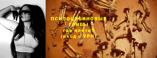метадон Белокуриха