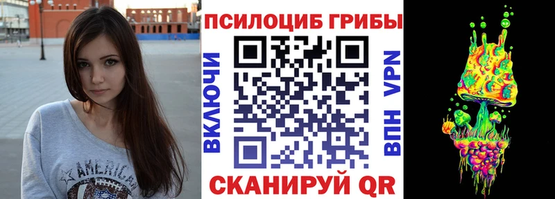 Псилоцибиновые грибы мицелий  Дубовка 